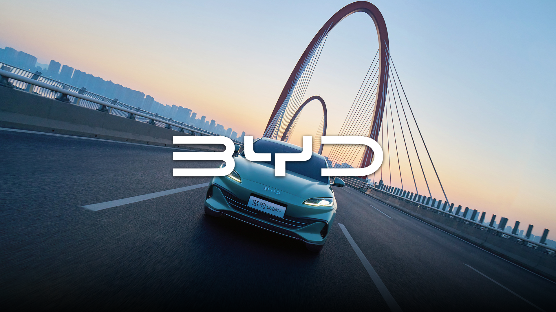 BYD Image